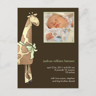Giraffe Brown/Green • Birth Announcement Postcard