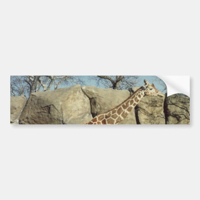 Giraffe Bumper Sticker (Front)