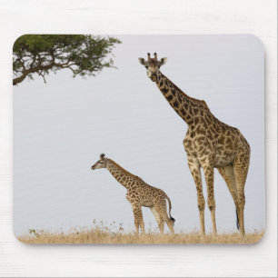 Giraffe Calf and Mama Mouse Mat