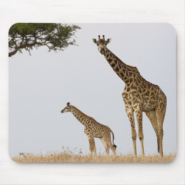 Giraffe Calf and Mama Mouse Mat (Front)