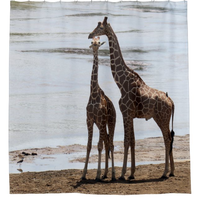 Giraffe & Calf shower curtain (Front)