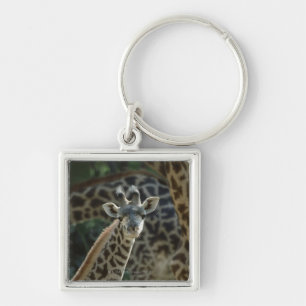 Giraffe calf with giraffes key ring