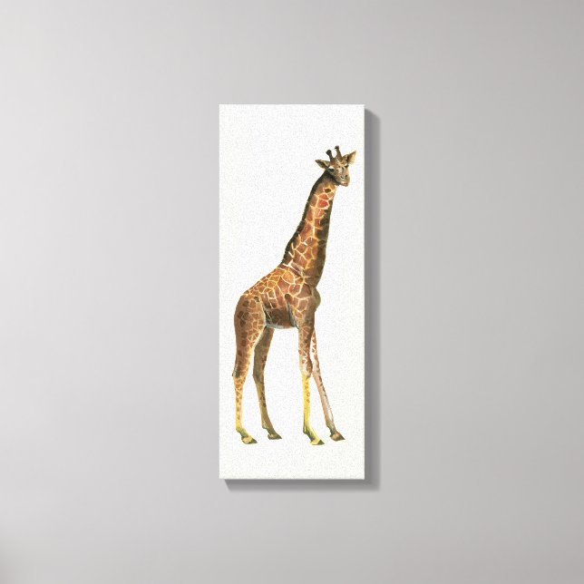 Giraffe Canvas Print (Front)