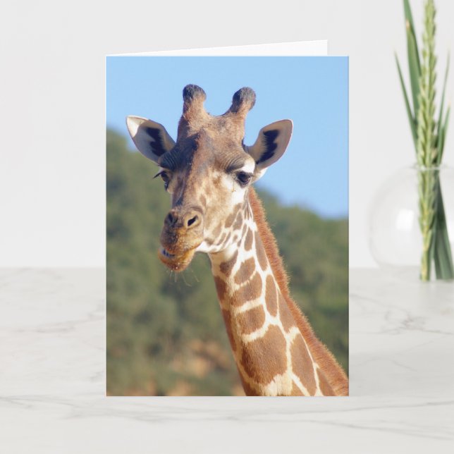 Giraffe Card (Front)