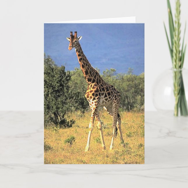 Giraffe Card (Front)