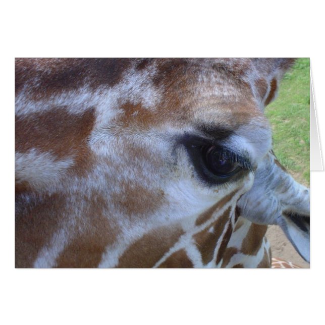 Giraffe Card! (Front Horizontal)