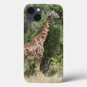 giraffe iPhone 13 case