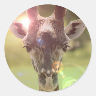 giraffe classic round sticker