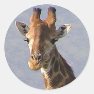 Giraffe Classic Round Sticker