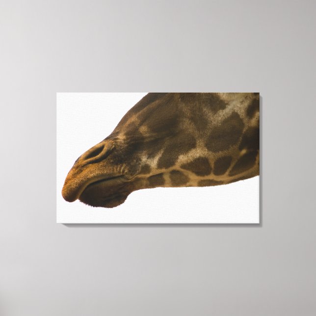 Giraffe,close up canvas print (Front)