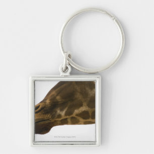 Giraffe,close up key ring