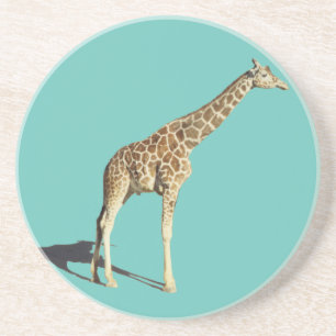 Giraffe Coaster