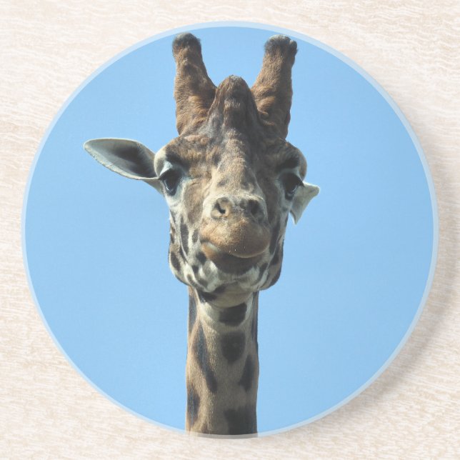 GIRAFFE COASTER (Front)