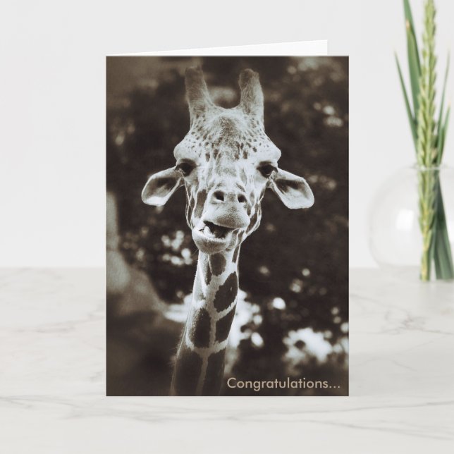 Giraffe Congratulations Greeting Card (Front)