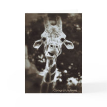 Giraffe Congratulations Greeting Card