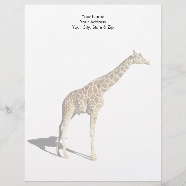 Giraffe Custom Letterhead (Front)