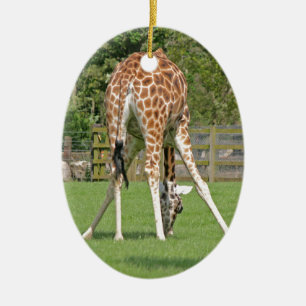 Giraffe Design Ceramic Tree Decoration