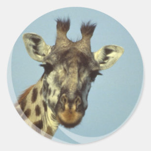 Giraffe Design  Stickers