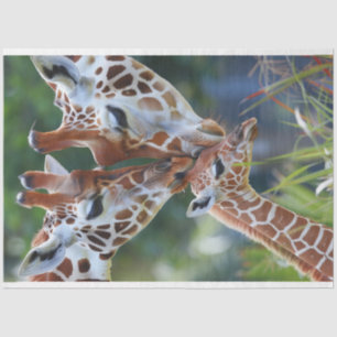 Giraffe Digital Art Family Decoupage  Tissue Paper