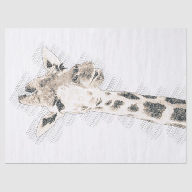 Giraffe Drawing Tissue Paper (Front)