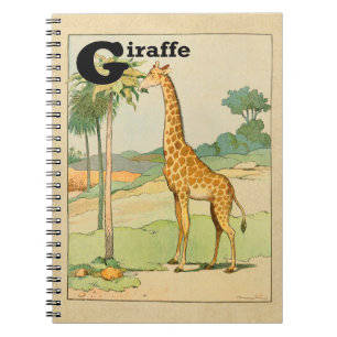 Giraffe Eating Acacia in the Desert Notebook