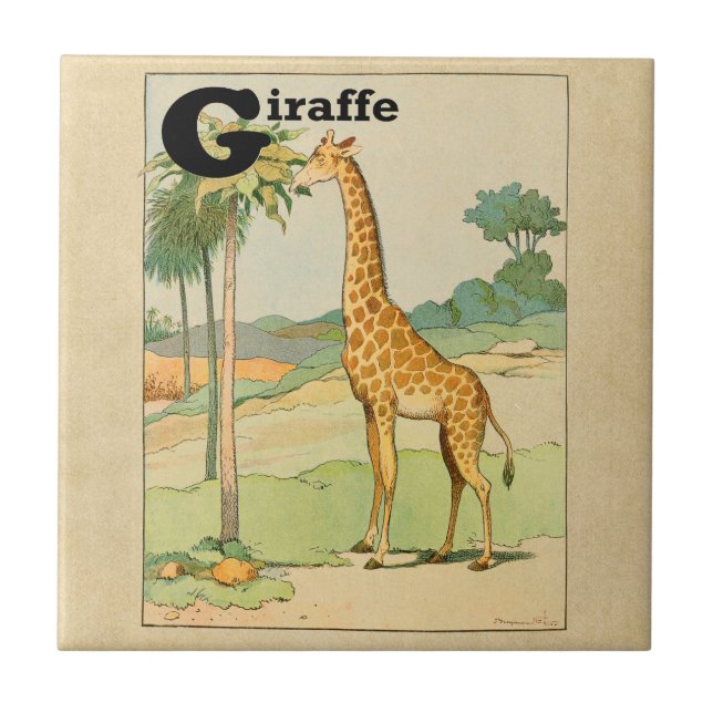 Giraffe Eating Acacia in the Desert Tile (Front)