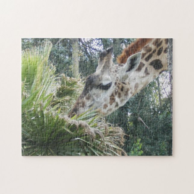 Giraffe Eating Close Up Jigsaw Puzzle (Horizontal)