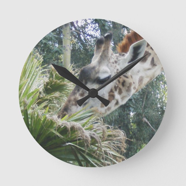 Giraffe Eating Lunch Wall Clock (Front)