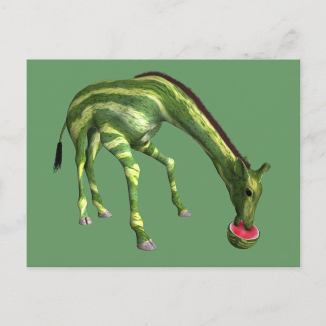 Giraffe Eating Watermelon Postcard (Front)
