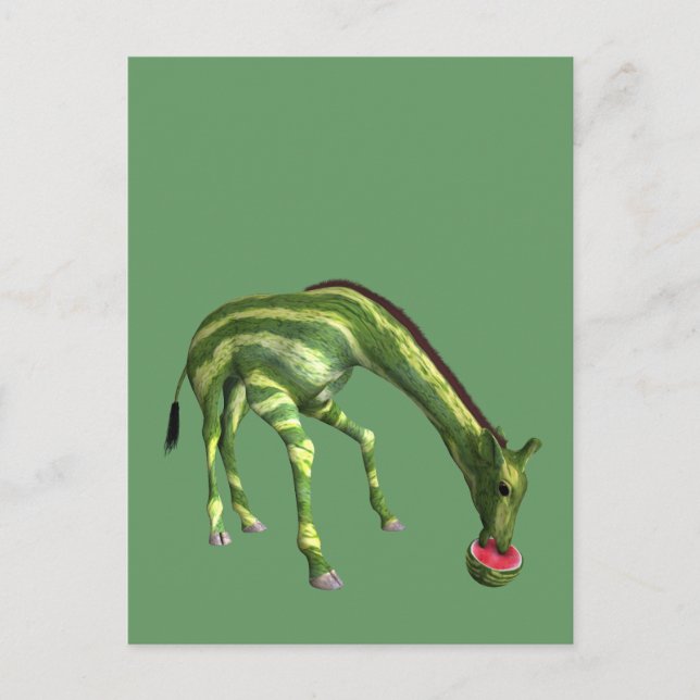 Giraffe Eating Watermelon Postcard (Front)