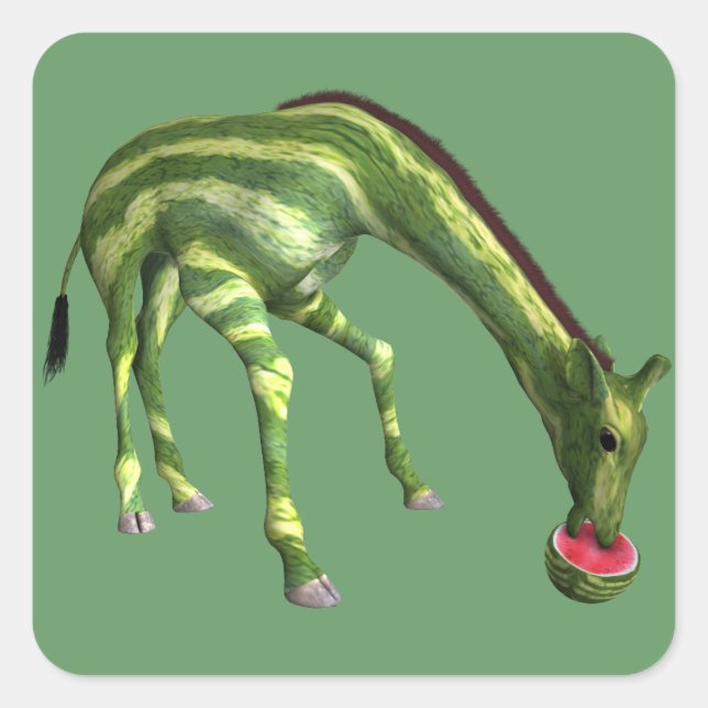 Giraffe Eating Watermelon Square Sticker (Front)