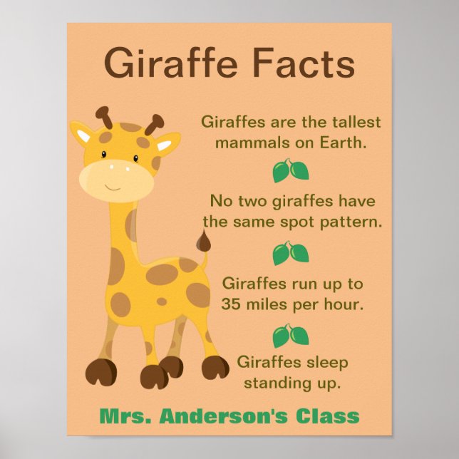 Giraffe Facts Classroom Poster (Front)