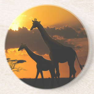 Giraffe Family 2 Coaster