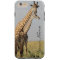 Giraffe Family iPhone 6 Plus Case Personalise!
