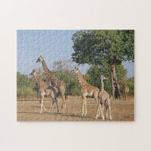 Giraffe family puzzle