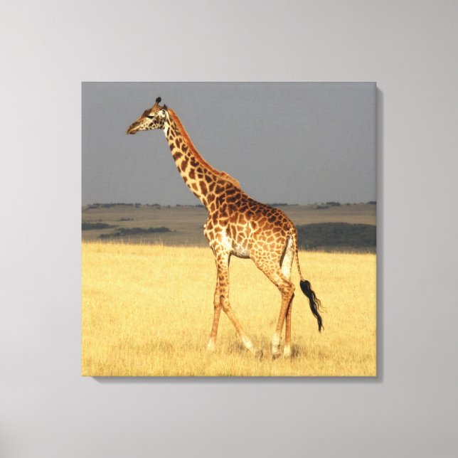 Giraffe full body Africa African Animals Canvas Print (Front)