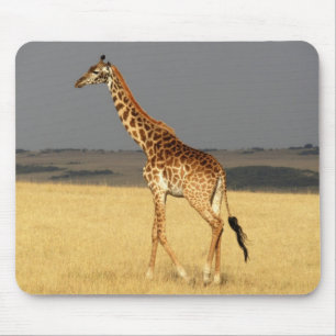 Giraffe full body Africa African Animals Mouse Mat