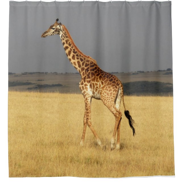 Giraffe full body Africa African Animals Shower Curtain (Front)