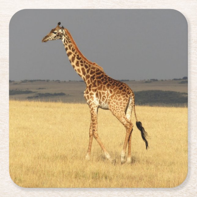 Giraffe full body Africa African Animals Square Paper Coaster (Front)