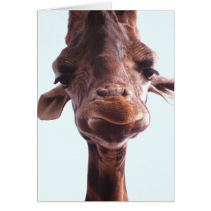 Giraffe Funny Face