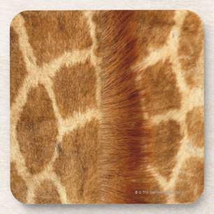 Giraffe Fur Coaster