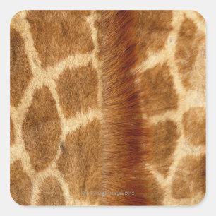 Giraffe Fur Square Sticker