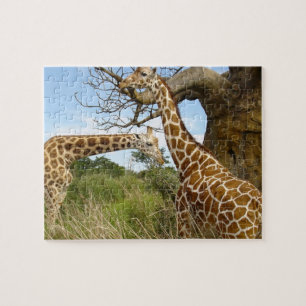 Giraffe Game Puzzle