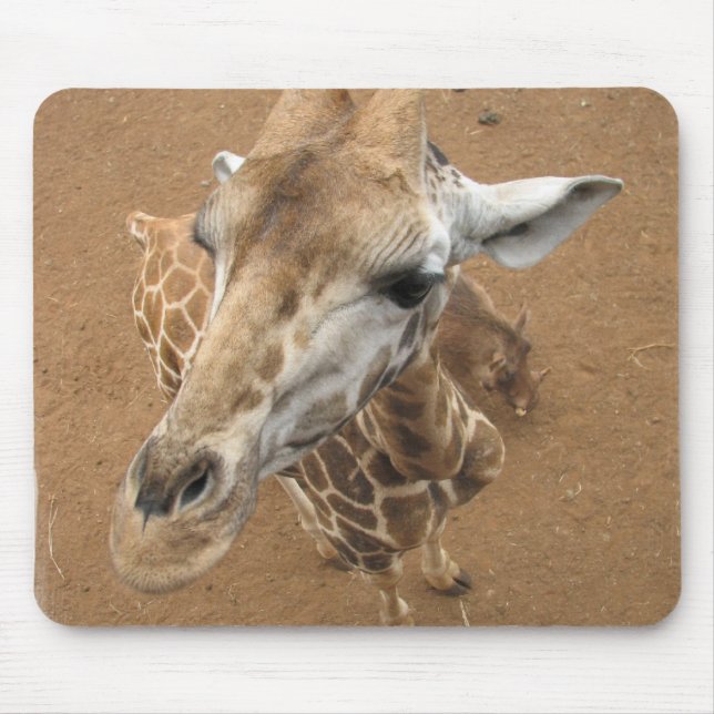Giraffe Gaze Mouse Pad (Front)