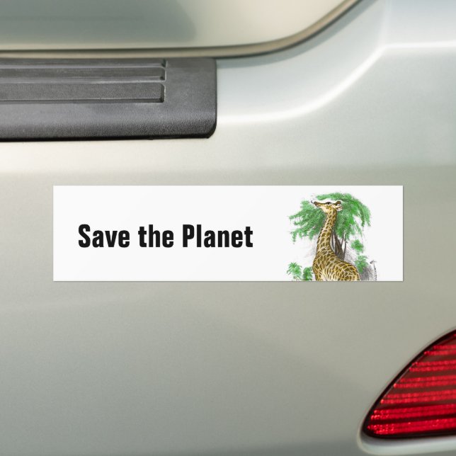 Giraffe Gifts Bumper Sticker (On Car)