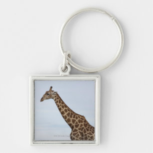 Giraffe (Giraffa camelopardalis), Chobe National P Key Ring