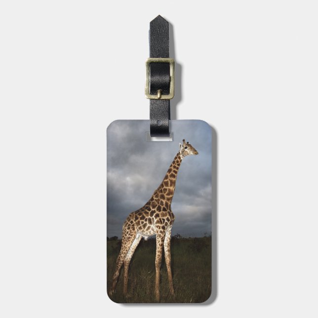 Giraffe (Giraffa camelopardalis) Luggage Tag (Front Vertical)