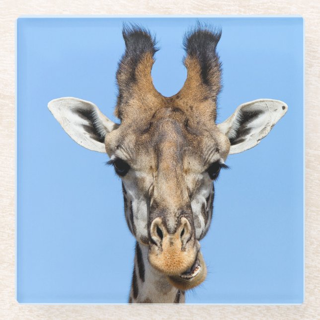 Giraffe Glass Coaster (Front)