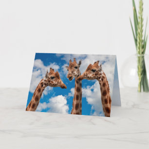 Giraffe Gossip Girls Card