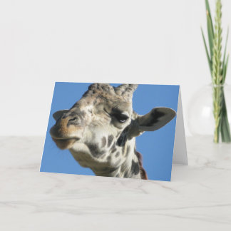 Giraffe greeting card